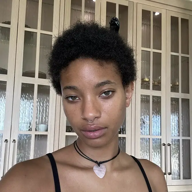 Willow Smith’s comments on nepotism have divided opinion.