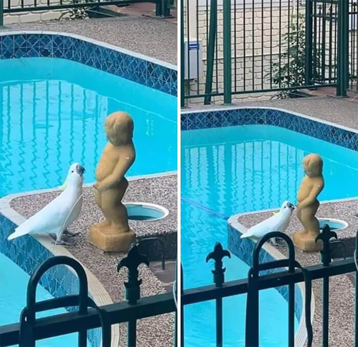There's No Shame