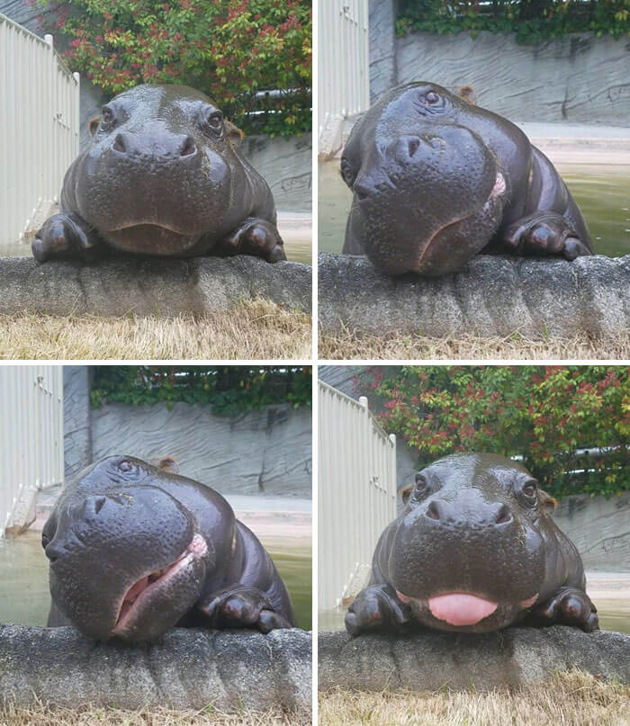 Those Adorable Expressions!