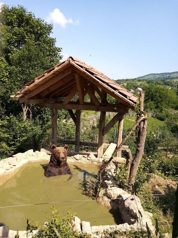 Mud Bath Time