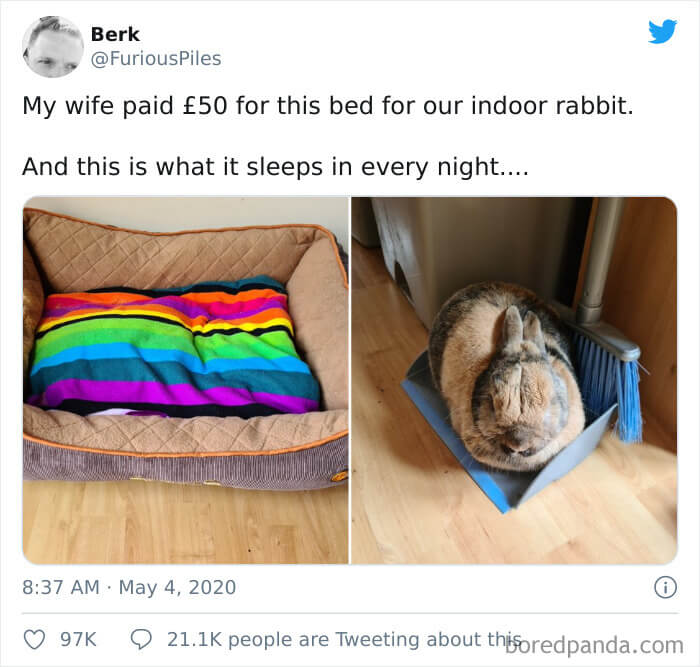 A Tidy Bunny