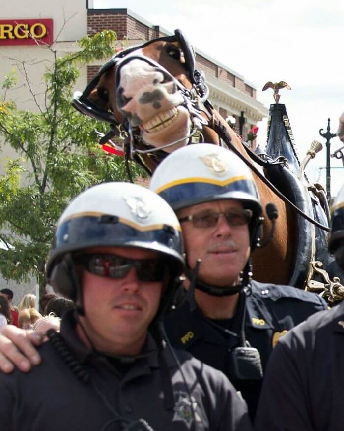 The Best Photobomb Ever