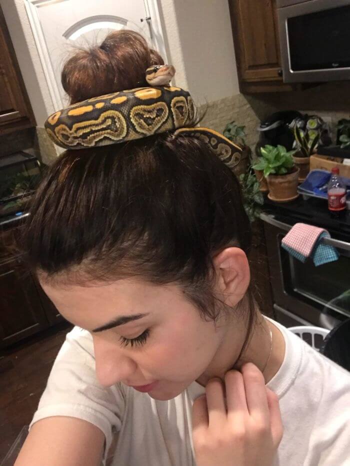 The Funkiest Hair Accessory