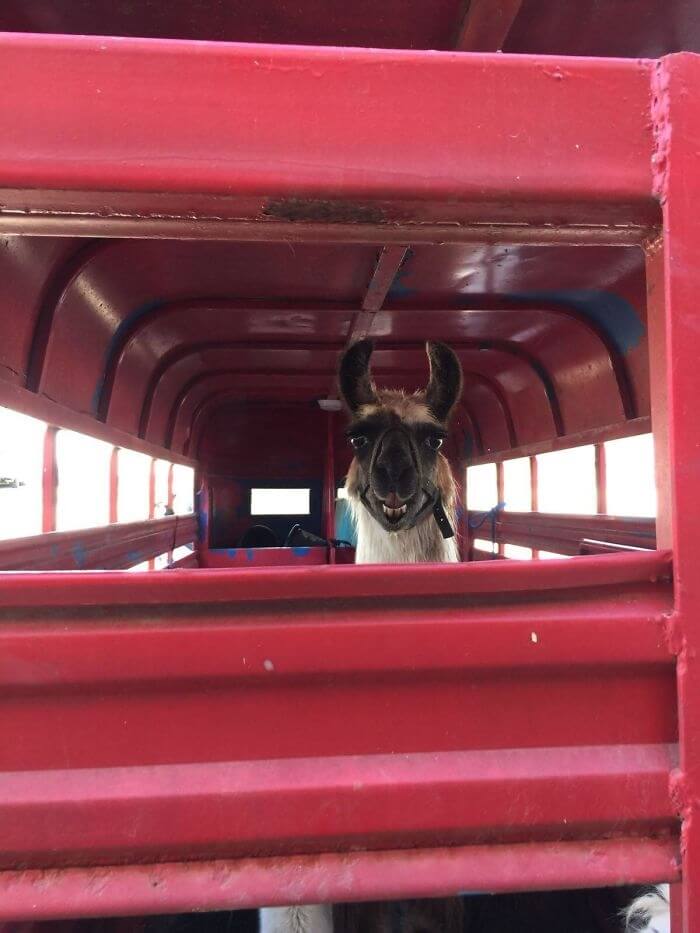 "Heeeeey! Wassup Karen!"