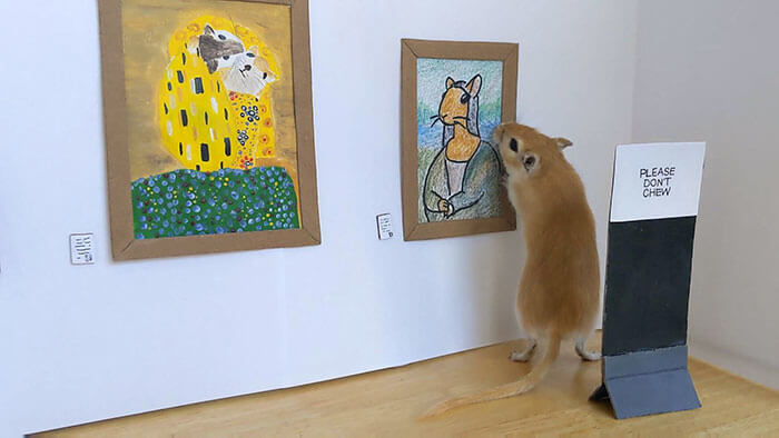 An Art Gallery For The Gerbil