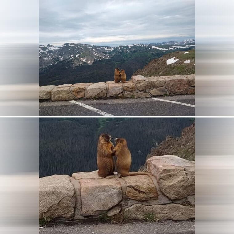 "Karen, I Only Love You"
