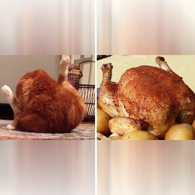 Wow, Two Whole Rotisserie Chickens