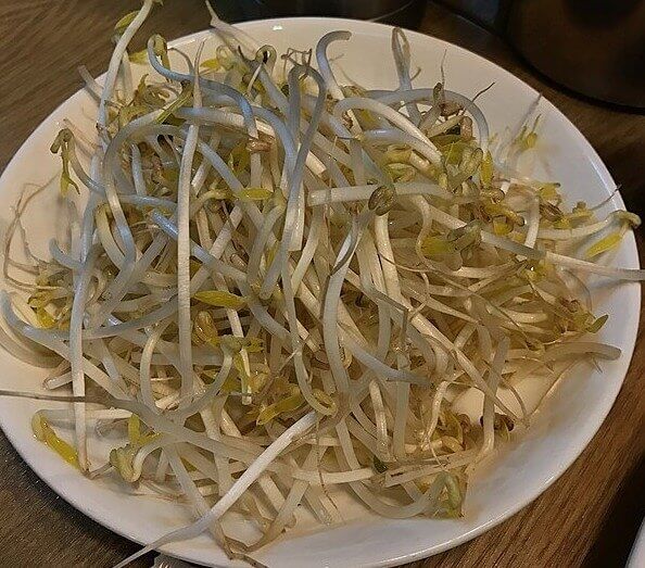 Sprouts