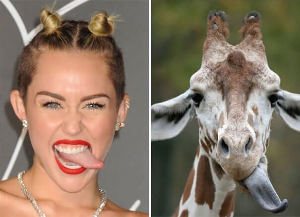 Which One Of These Images Is Hannah Montana?