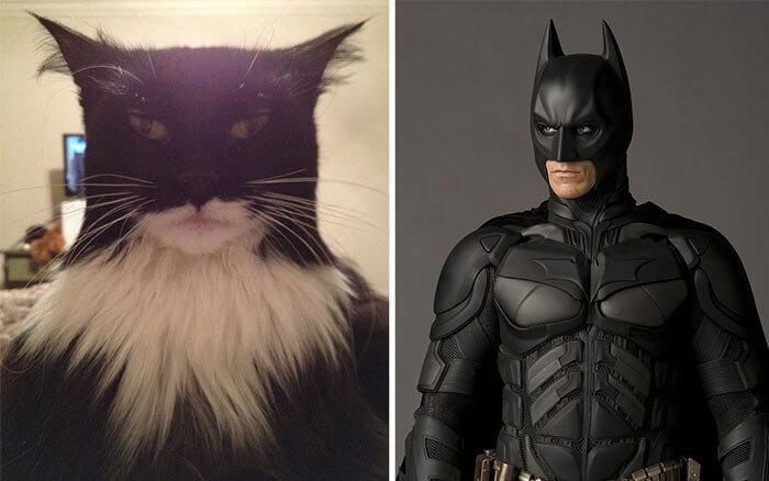 This Caped Crusader Needs No Cape