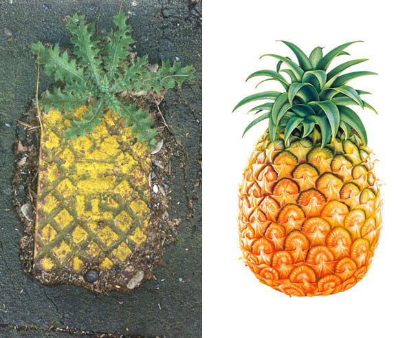 This Had To Be Intentional, Don't You Think?