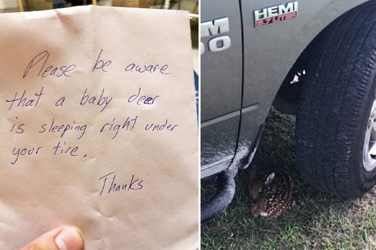 Bless Thy Neighbor!