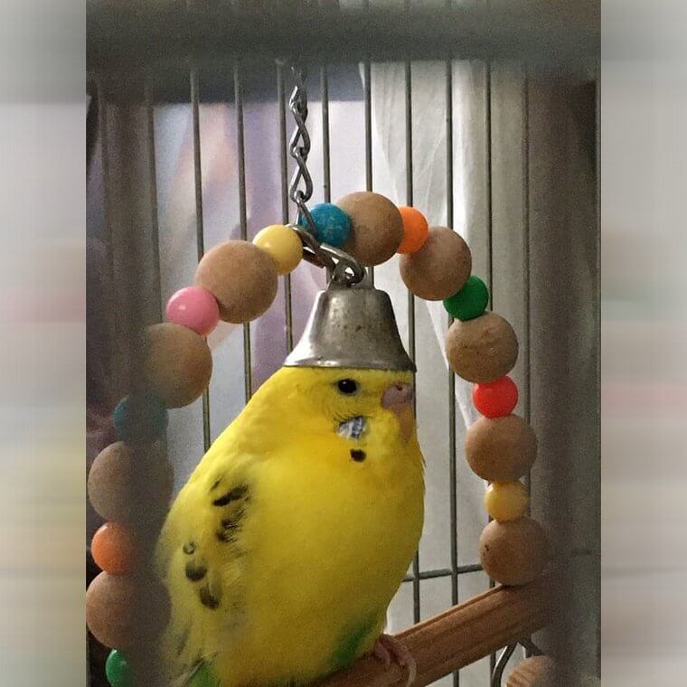Her Crown is Beautiful
