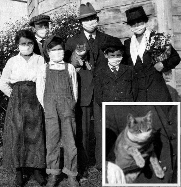 Even Cats Wore Masks Back in the Day