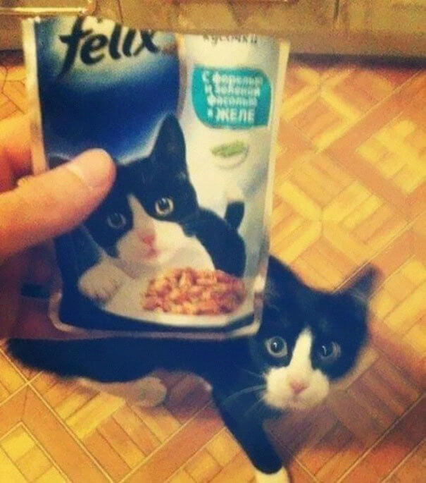 Felix? Is That You?