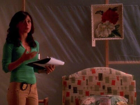 Sasha Alexander Also Decided to Leave the Show