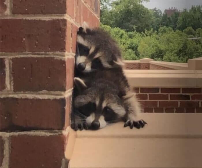 Don't Look Suspicious, Don't Be Suspicious