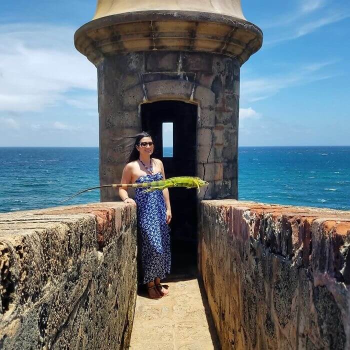 The Coolest Photobomb