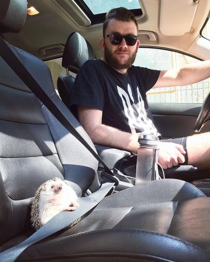 Safety Comes First