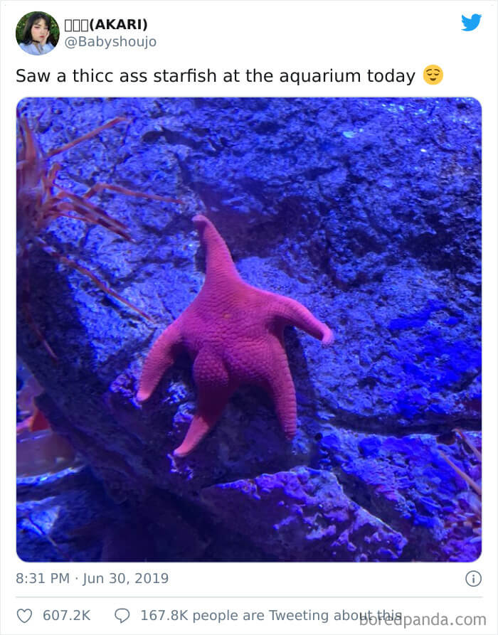This Must Be Patrick