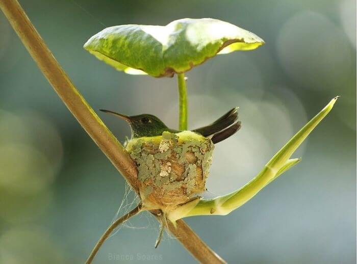 A Cute Little Home