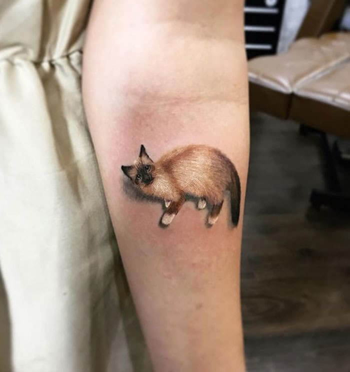 It Is A "PawSome Cattoo”