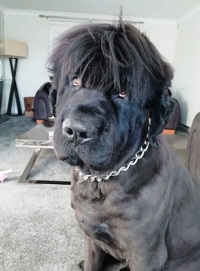 He Didn't Choose the Grunge Life, the Grunge Life Chose Him
