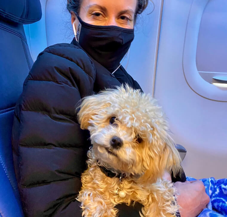 Furry Friends Can Fly Inside a Plane Too