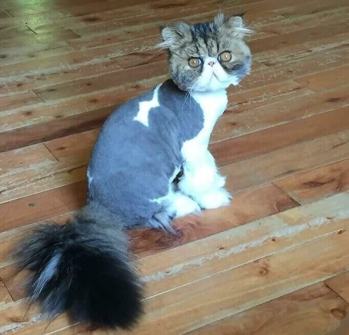 Please Control Your Urge to Laugh at This Little Dude - He's Sensitive