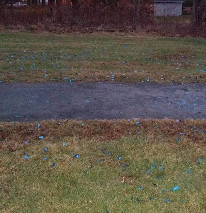 The Aftermath Of A Party