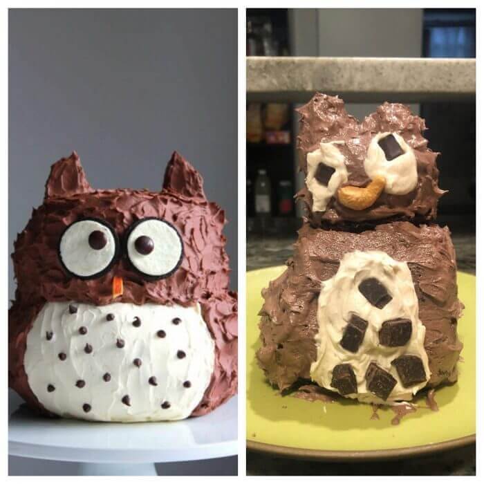 Owl Gone Wrong