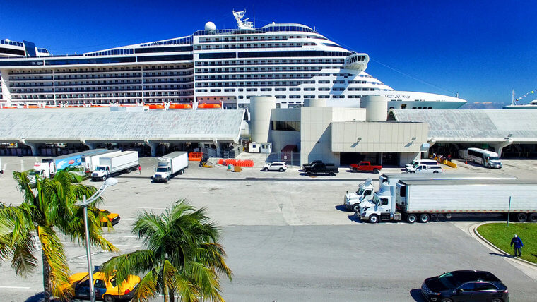 Their First Cruise