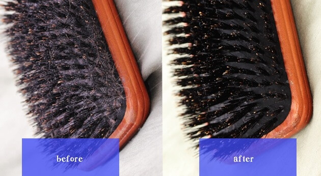 Clean A Hairbrush With Shampoo
