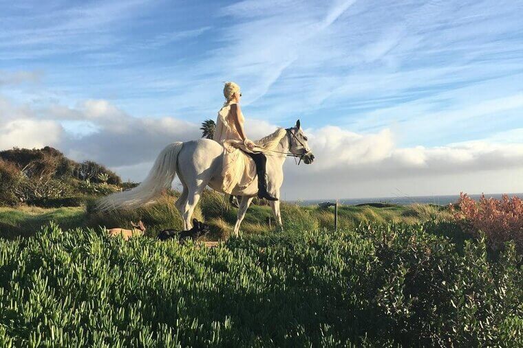 Lady Gaga’s Label Gives Her a White Horse for Christmas