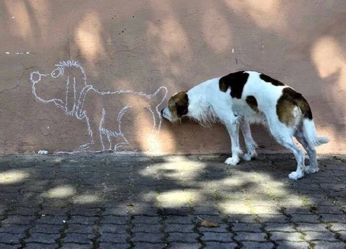 This Doggie Trying To Greet The Dog On The Wall