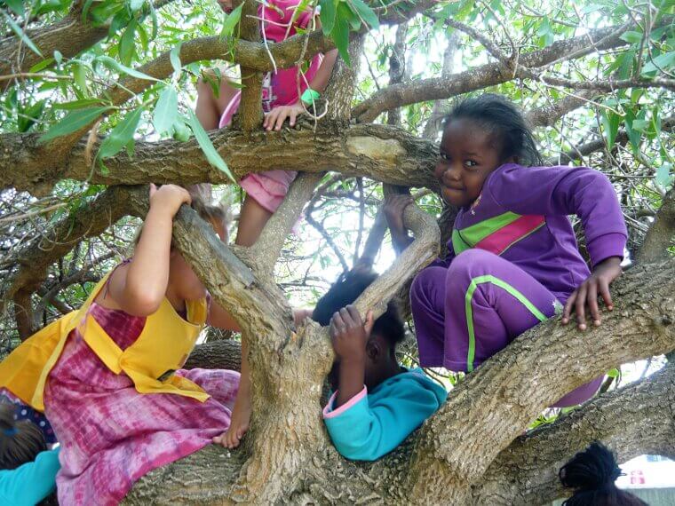 Climbing Trees