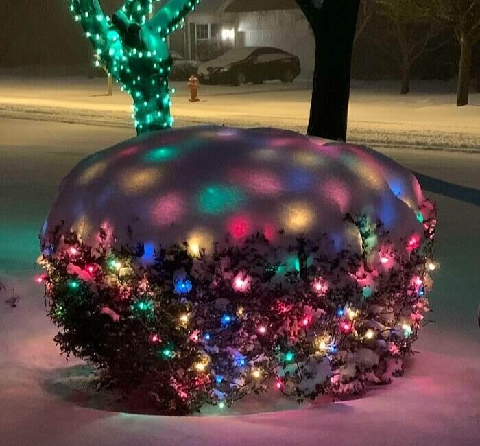 Colorful Christmas Cake