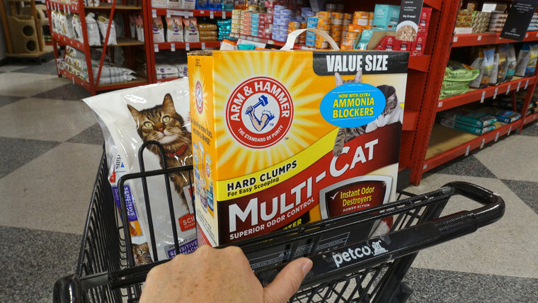 De-Fog Your Windshield With Cat Litter
