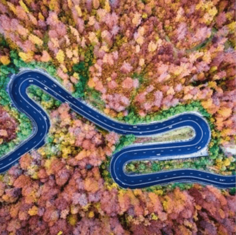The Long And Winding Road