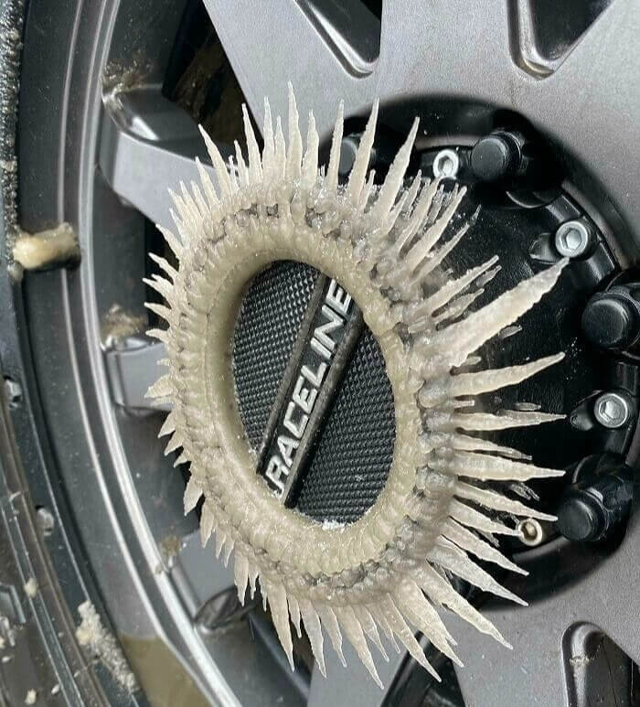 Stay Away From My Tires