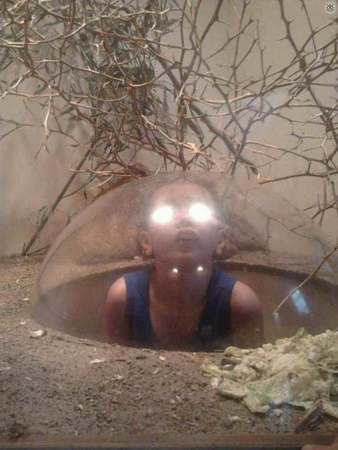 Is This A New Species?