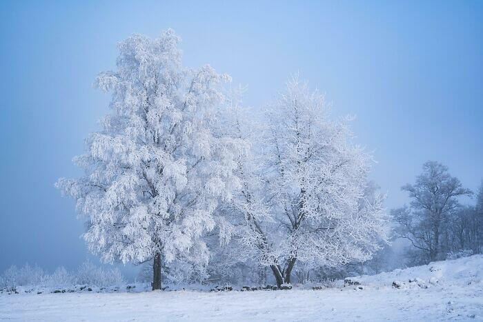 Warm…for Sweden