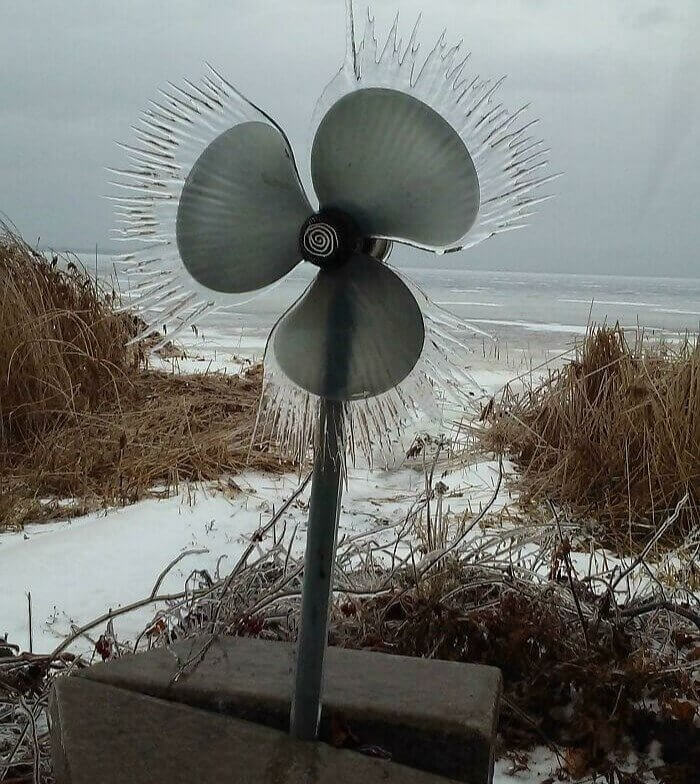 Not a Big Fan of Winter