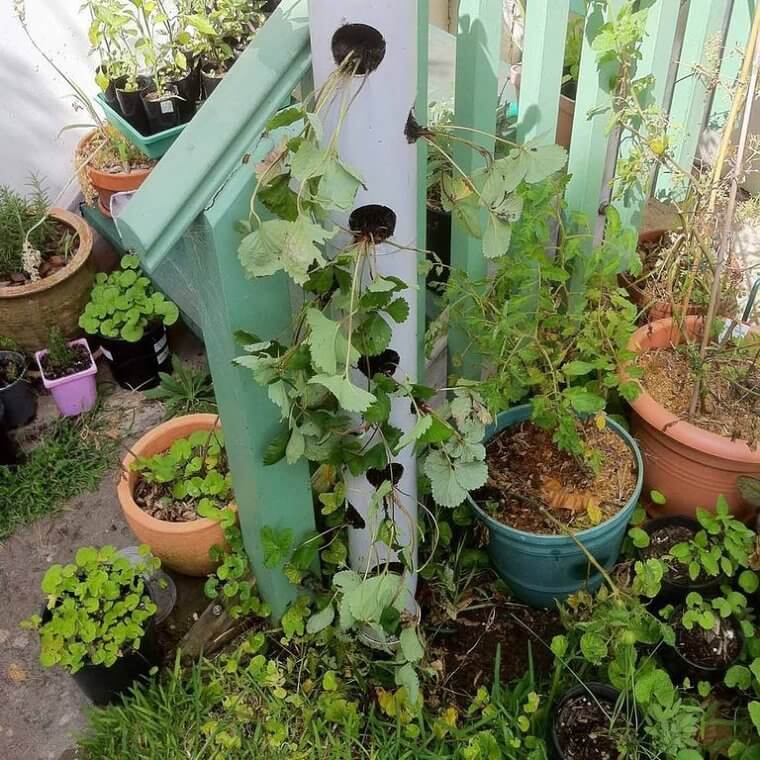 DIY Vertical Planter