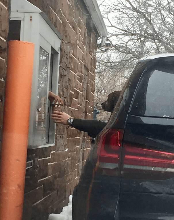 This Little Pup Just Needed His Puppuccino