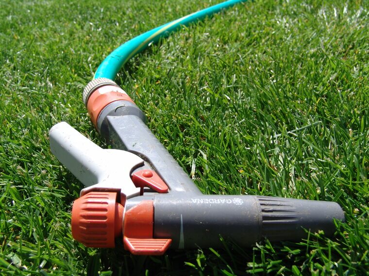 Drinking From the Hose