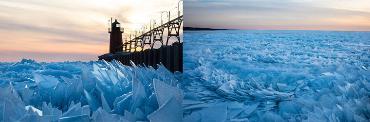 Frozen Fins