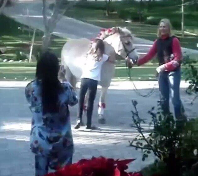 Kendall Jenner’s Parents Fulfill Her Childhood Dream With a Horse