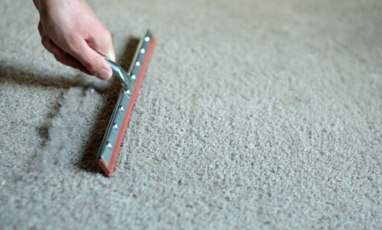 Remove Hairs from The Carpet with a Squeegee