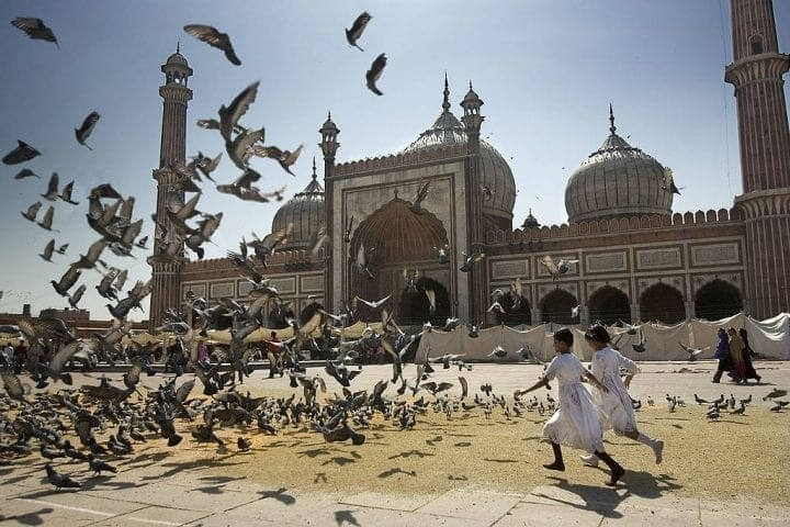 If You See Animals Running Away, An Earthquake Could Be Coming